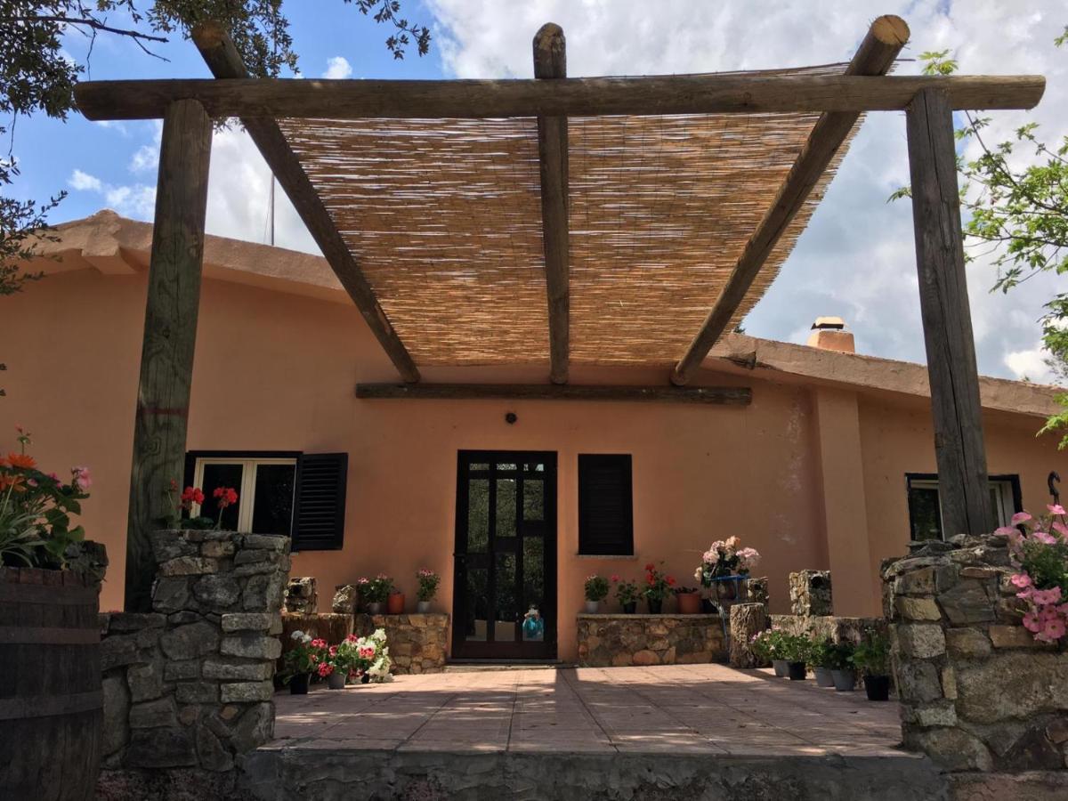 Azienda Agrituristica S'Argalasi - B&B - Affittacamere Loc S'Argalasi Austis Luaran gambar