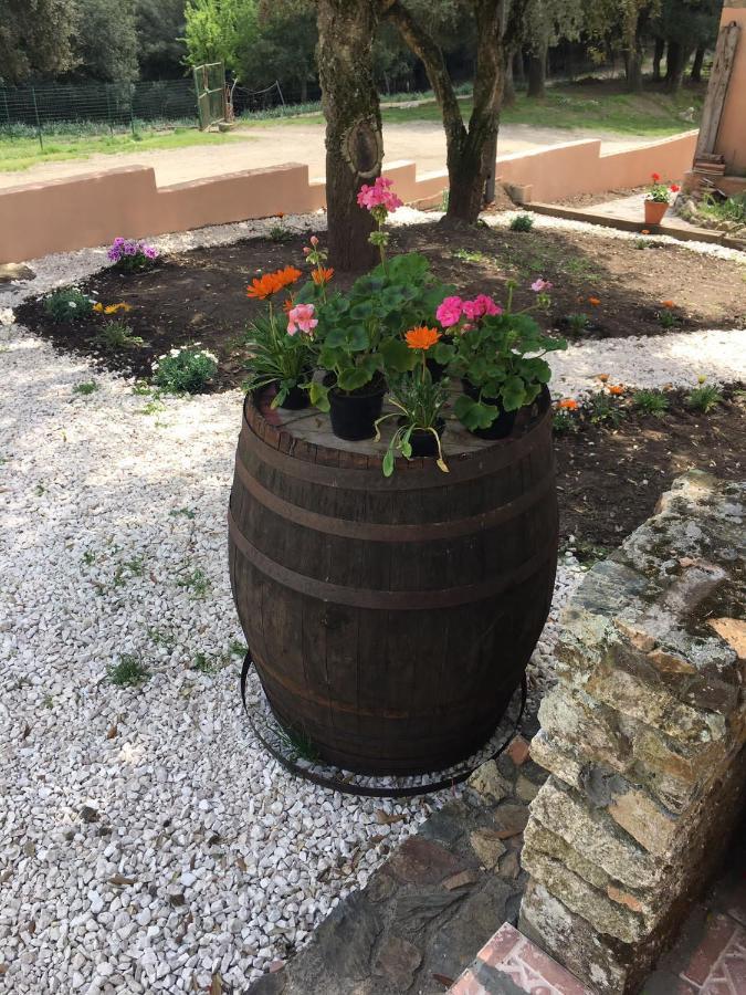 Azienda Agrituristica S'Argalasi - B&B - Affittacamere Loc S'Argalasi Austis Luaran gambar