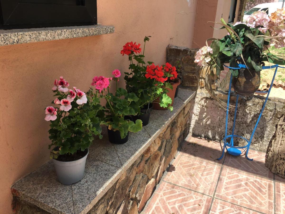 Azienda Agrituristica S'Argalasi - B&B - Affittacamere Loc S'Argalasi Austis Luaran gambar